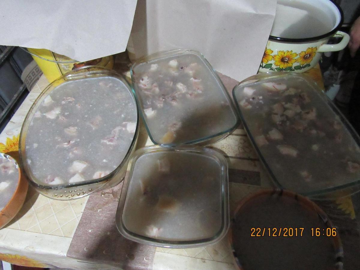 Pensiunea Nicky Oestii Ungureni ภายนอก รูปภาพ